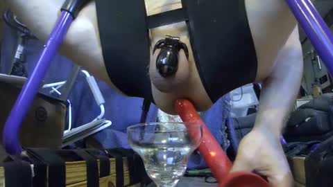 Snapshot of gregbball1 chatting on October 29, 2:03 am electrogee1 online show from October 29, 2:03 am