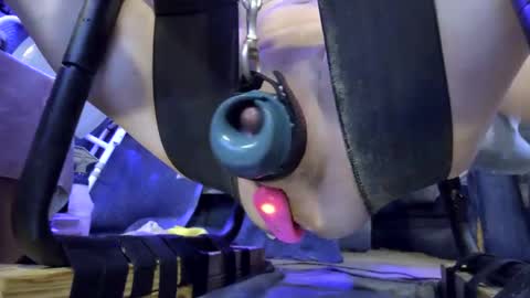 Snapshot of gregbball1 chatting on January 15, 9:51 pm electrogee1 online show from January 15, 9:51 pm