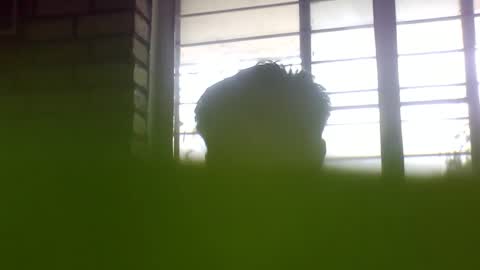 Grey Stud online show from January 24, 6:57 am