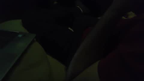 Grey Stud online show from December 4, 10:13 am