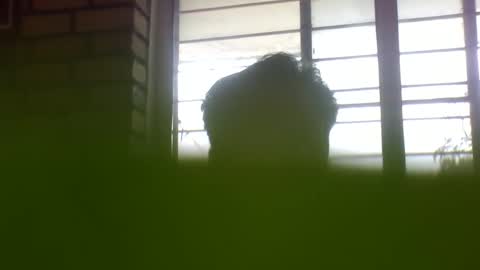 Grey Stud online show from February 4, 6:36 am