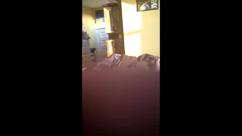 grizzely1975 online show from November 24, 2:07 pm