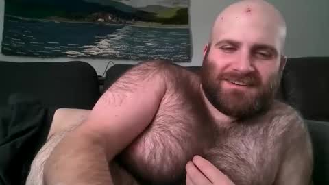 Hairiest Bear online show from March 2, 6:24 pm