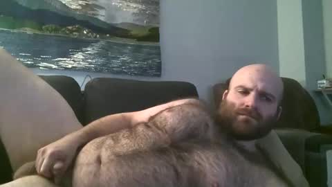 Hairiest Bear online show from March 9, 3:01 am