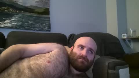 Hairiest Bear online show from January 21, 4:55 am