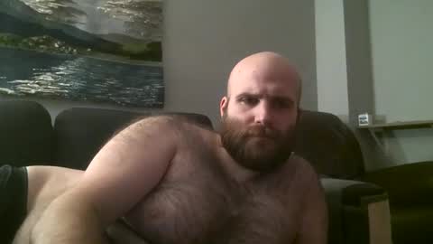 Hairiest Bear online show from January 25, 8:53 am