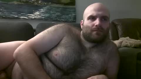 Hairiest Bear online show from February 15, 5:51 am