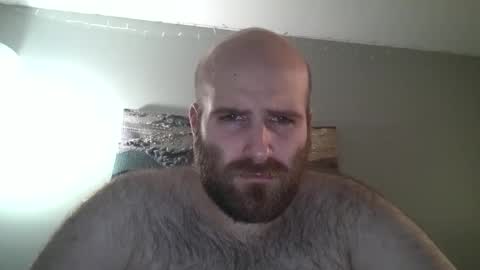 Hairiest Bear online show from December 28, 7:43 pm