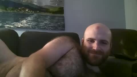 Hairiest Bear online show from February 23, 9:50 am
