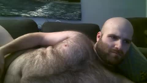 Hairiest Bear online show from February 18, 5:53 am