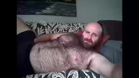 Hairiest Bear online show from October 11, 6:01 pm