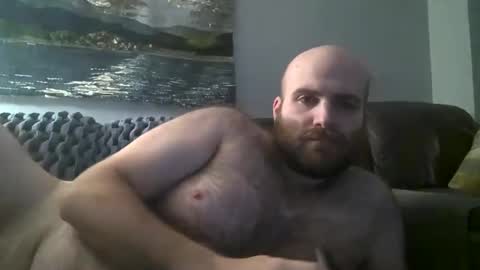 Hairiest Bear online show from January 12, 8:36 am