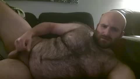 Hairiest Bear online show from September 14, 4:58 am