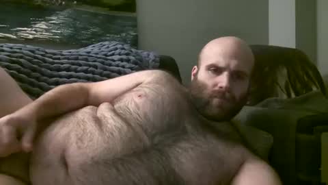 Hairiest Bear online show from January 17, 7:41 am
