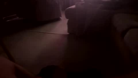 hairynicedaddy online show from November 2, 3:11 am