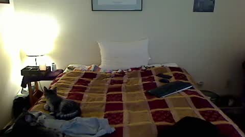 hammerthatthang73 online show from November 7, 7:39 pm