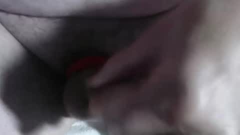 Handyman online show from November 11, 2:00 pm