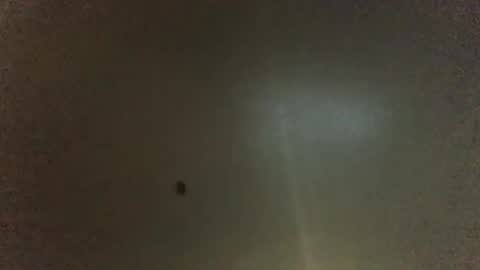 For You online show from November 30, 10:23 pm