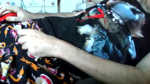 hardnick696 online show from February 15, 12:38 am
