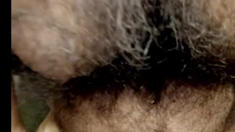 Snapshot of harry_banana chatting on December 17, 10:43 pm harry_banana online show from December 17, 10:43 pm