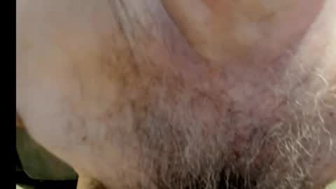 Snapshot of harry_banana chatting on December 31, 11:20 am harry_banana online show from December 31, 11:20 am