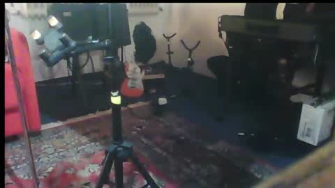 Snapshot of hartwichser1 chatting on January 29, 10:11 pm hot n  nasty online show from January 29, 10:11 pm