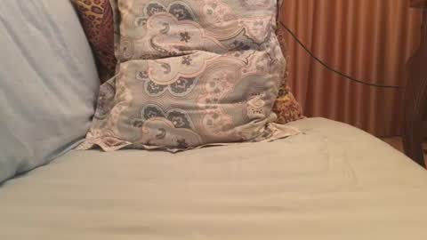 havedream1m online show from October 13, 9:48 am