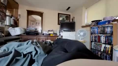 hawkfan1888 online show from December 31, 9:28 pm