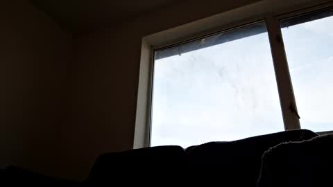 heretoserveyouall online show from March 9, 2:21 pm