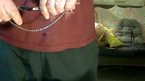 Hex online show from March 13, 1:13 am