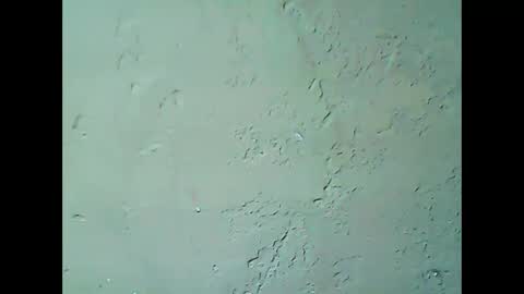 Snapshot of hhhjnf1 chatting on September 18, 7:10 am hhhjnf1 online show from September 18, 7:10 am