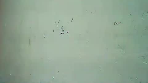 Snapshot of hhhjnf1 chatting on September 20, 9:42 am hhhjnf1 online show from September 20, 9:42 am