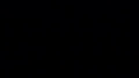 honeybear2026 online show from November 5, 4:36 am