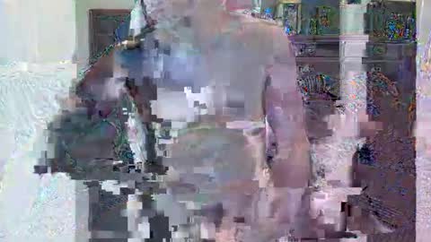 HornyGringo online show from November 22, 3:28 am