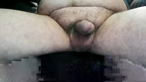 horsesaslife online show from April 17, 8:22 pm