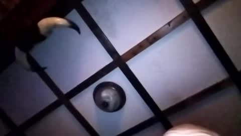 hotloads1992 online show from January 10, 1:11 am