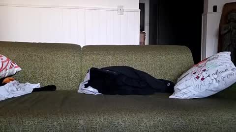 hotrox6942 online show from September 11, 10:47 am