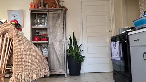 hotrox6942 online show from September 12, 10:59 am