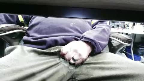 Madmedic online show from November 9, 2:43 pm