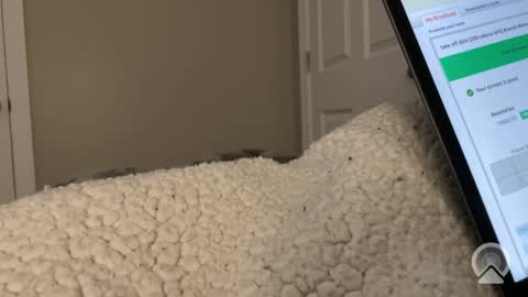 hungtwinkcock1 online show from March 17, 12:40 pm