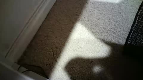 Hypeman online show from February 18, 8:34 am