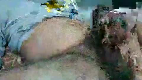 Hunter online show from November 26, 9:51 pm