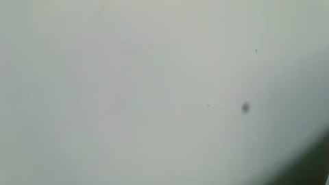 Inglorious Hairy Uncut online show from February 16, 6:54 am