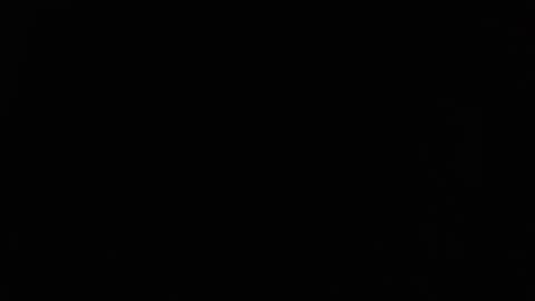 isanin online show from October 1, 8:18 am