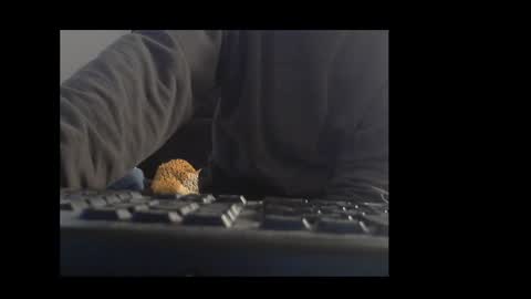 ital25usa online show from January 10, 10:08 am