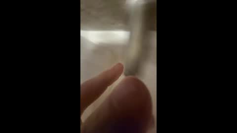 itsjustcute0121 online show from June 11, 3:26 am