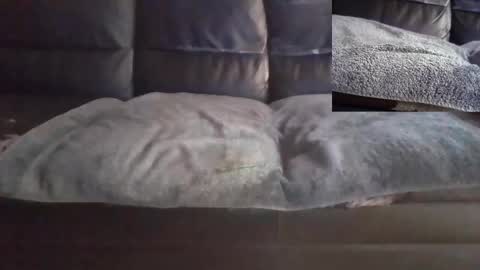 David online show from December 17, 11:17 am