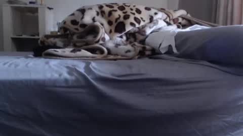 J3RKZ online show from December 13, 11:22 pm