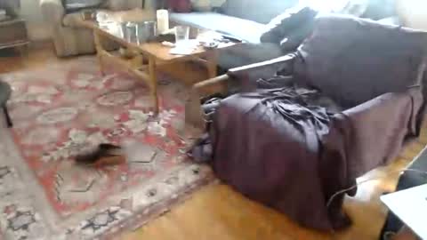 j_acquassanta online show from October 20, 10:35 pm