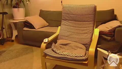 jacek___1 online show from February 16, 8:00 pm